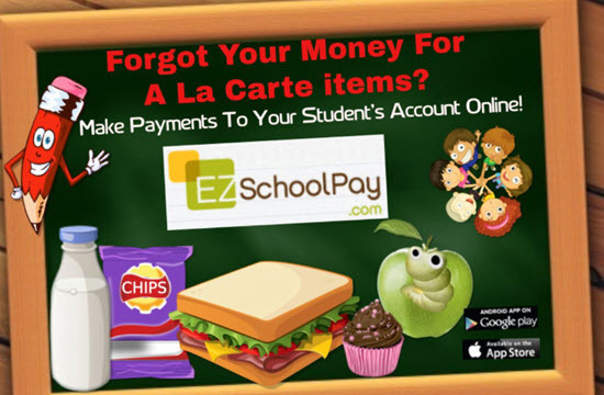 EZ School Pay image
